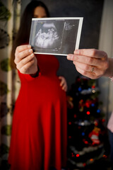 A young pregnant woman, before giving birth