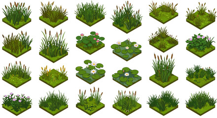Collection of aquatic plants vector illustration for landscape design