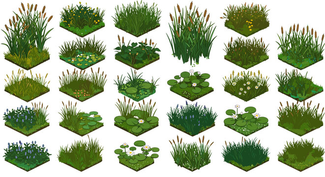 Diverse aquatic and wetland plant vector illustration for nature and gardening designs