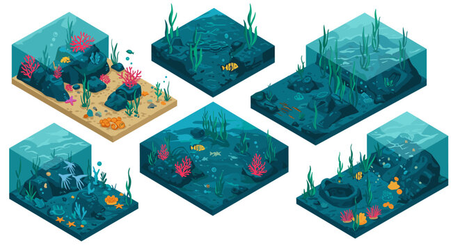 Underwater ecosystem vector illustration: isometric ocean scene for educational design