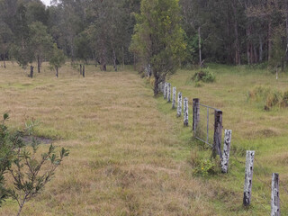 Old farm fence in the country