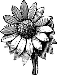 Rustic Flower Clipart &ndash; Vintage Botanical