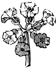 Rustic Flower Clipart – Vintage Botanical