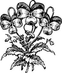 Rustic Flower Clipart – Vintage Botanical