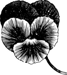 Rustic Flower Clipart – Vintage Botanical