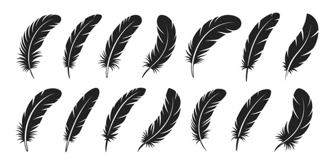 Minimal black feather silhouettes in assorted slim and curved forms, vector illustration set. Decorative bird feathers with clean lines arranged in two neat rows.