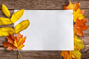 Blank white mockup surrounded by brightly colored autumn leaves on wooden brown background