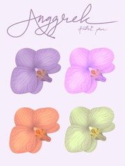 Collection of orchids in various colors