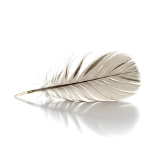 Obraz premium A single, soft grey feather rests on a white, reflective surface, creating a delicate and elegant image. A concept of lightness, peace, and freedom. 