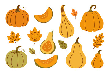 Vector Collection of Pumpkins and Squash in Warm Autumn Colors with Leaves — Thanksgiving and Fall Harvest Illustration for Seasonal Decor and Holiday Themed Creative Projects