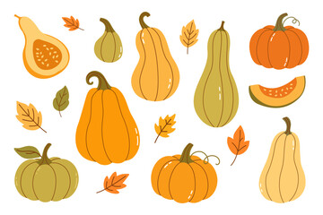 Hand Drawn Autumn Pumpkins and Colorful Leaves Collection — Cozy Seasonal Elements for Thanksgiving Decor, Harvest Themes, and Fall Design Projects on White Background