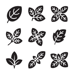 Fresh Basil Leaf Outline Icons
