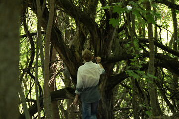 A young man stands with his back to the camera, exploring a dark, twisted tree in a dense forest