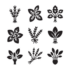 Fresh Herb Bunch Outline Icons
