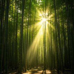 Fototapeta premium Golden sunbeams shine through a dense green bamboo forest, creating ethereal light rays. A tranquil, serene path leads through the peaceful, sunlit grove. 