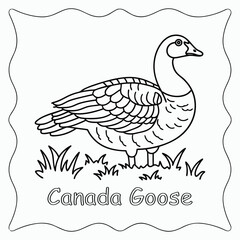 Canada Goose Bird Outline Coloring Page for Kids Vector Illustration