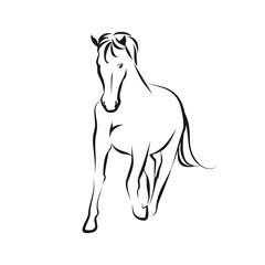 Elegant Line Art Horse Illustration Graceful Equine Design