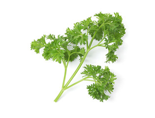 Sprig of fresh parsley isolated on white, top view