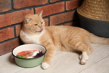 Cat with bowl full of raw natural products indoors. Pet's balanced diet