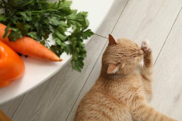 Different vegetables on table and cute cat indoors, top view. Pet's balanced diet
