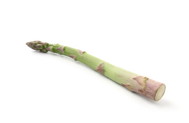 One fresh raw asparagus spear isolated on white