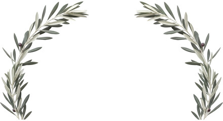 Elegant Olive Branches Forming an Arched Frame on Black