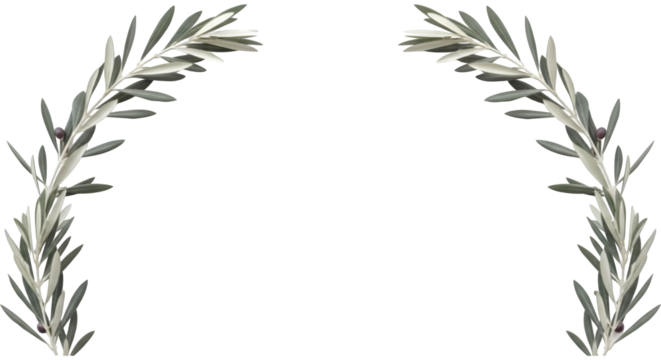 Elegant Olive Branches Forming an Arched Frame on Black