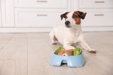 Cute dog and bowl with fresh natural products on floor at home, selective focus with space for...
