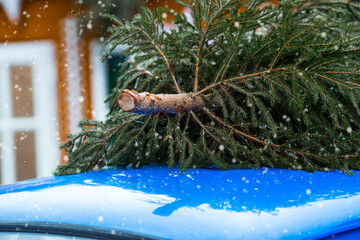 Concept of goods delivery. Christmas tree on the roof of a vintage blue Christmas car. Decorated...