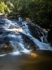 waterfall in the rain forest park