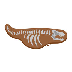 Dinosaur Bone Fossils