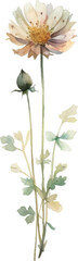 Vector Watercolor painted flower. Hand drawn flower design elements isolated on white background.