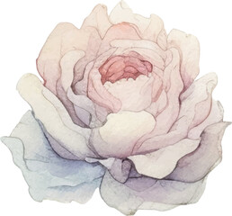 Vector Watercolor painted flower. Hand drawn flower design elements isolated on white background.