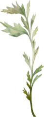Vector Watercolor painted flower. Hand drawn flower design elements isolated on white background.