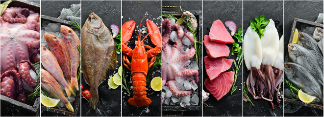 Seafood background: tuna fish, lobster, squid and octopus. Photo collage, banner from photos.