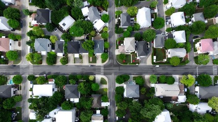 Captivating Aerial Perspective: A Sweeping View of Charming Houses and Lush Green Trees Nestled Below, Offering a Serene Landscape.