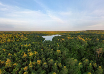 Aerial panoramic view of a clear-water lake at sunrise, surrounded by forest. Treetops are...