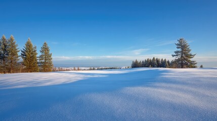 Serene Winter Landscape with Fresh Snow and Clear Blue Sky, Peppered with Evergreen Trees in the Distance, Ideal for Seasonal Greetings and Nature Themes