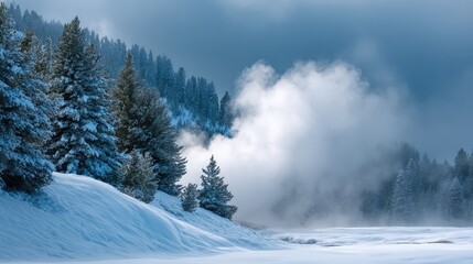 Serene Winter Landscape with Snow-Covered Pines and Mist in a Tranquil Mountain Scene Captured in Soft Blue Hues and Gentle Light