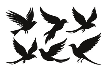 Fototapeta premium Six black bird silhouettes fly creatively with various wing positions on a transparent background