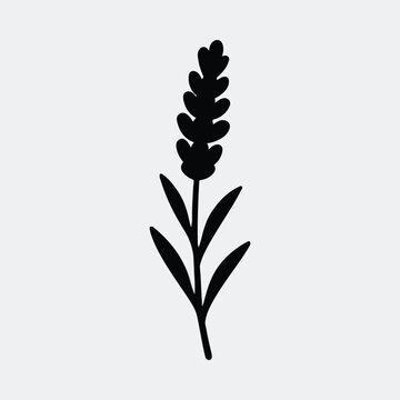 Silhouette lavender flower stem minimal illustration vector illustration