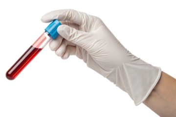Hand in white glove holding blood sample test tube isolated on transparent background