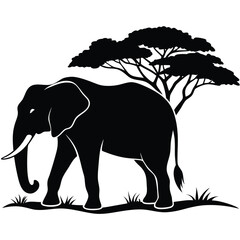 Fototapeta premium African elephant walking under a savanna tree silhouette