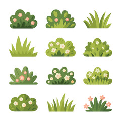 Set of Cartoon Plants and Flowers