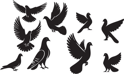 Fototapeta premium Web