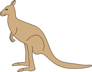 Kangaroo native animals of Australia
