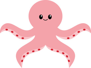 octopus
