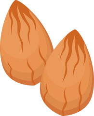 Almond Nut