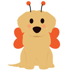 Golden Retriever Halloween Costumes