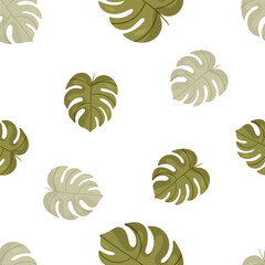 Seamless pattern with green monstera leaves. Vector botanical illustration on white background. Hand drawn. Natural pattern.